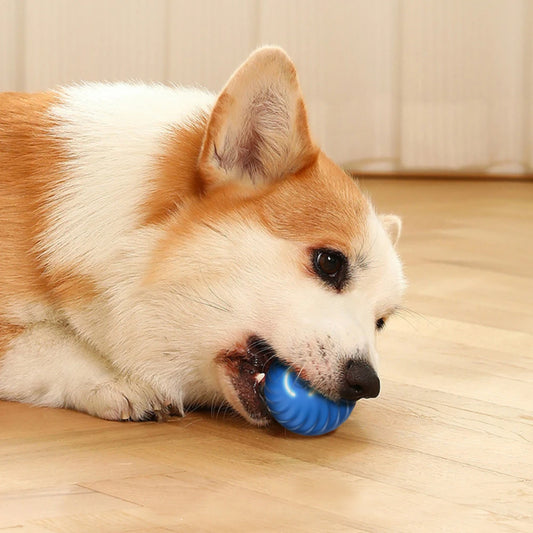 Smart Interactive Ball - Endless Fun for Your Pet !