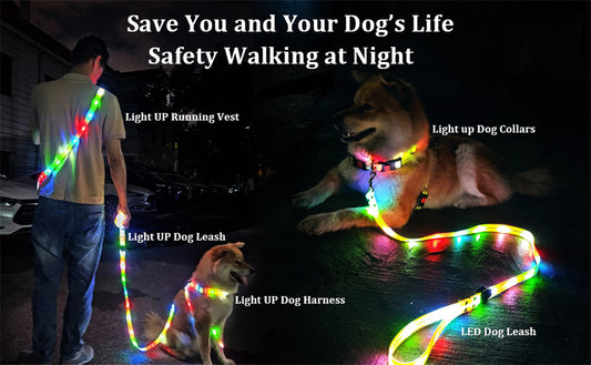LED leash for dogs and cats - Safe walks even after dark!