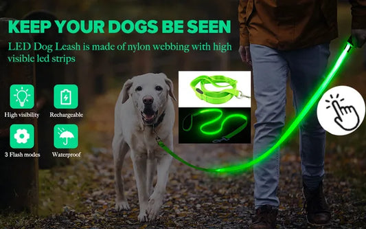 LED leash for dogs and cats - Safe walks even after dark!